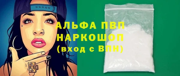 хмурый Пересвет