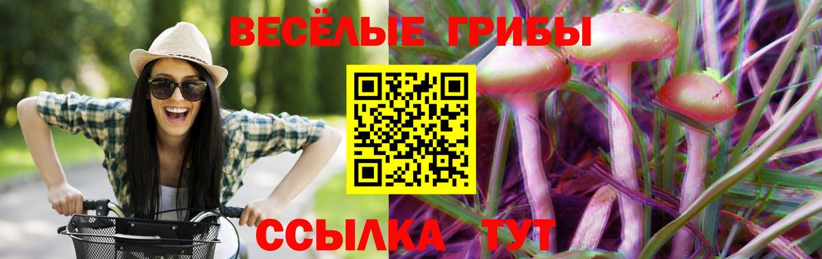 Псилоцибиновые грибы Psilocybine cubensis Альметьевск